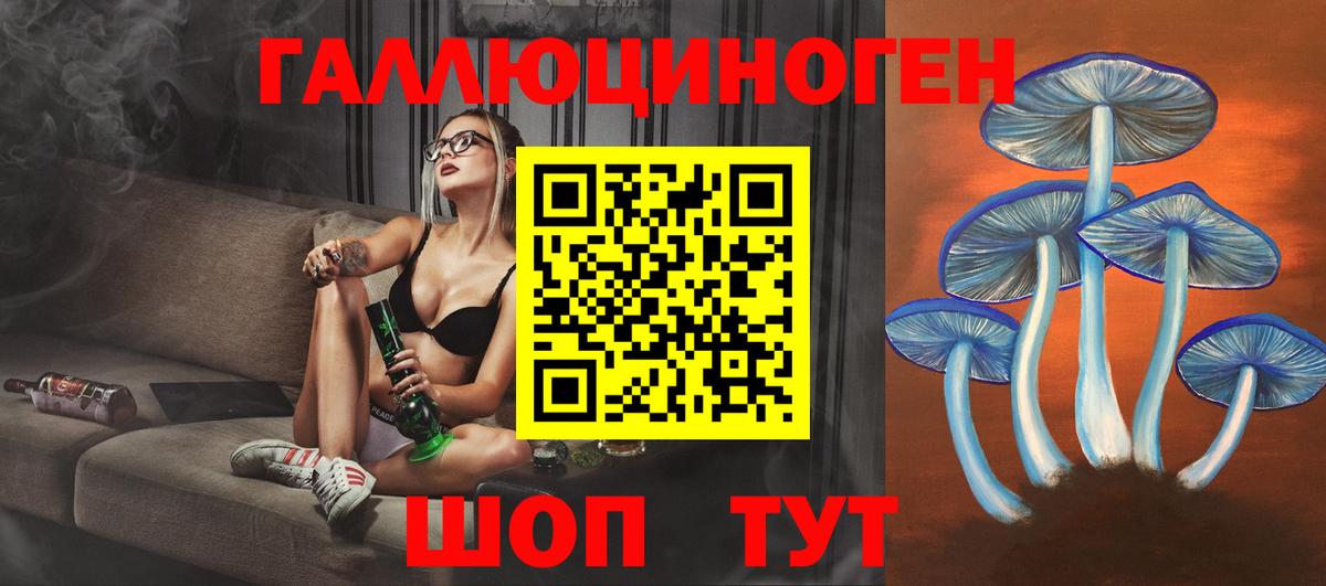 Котельники  Псилоцибиновые грибы Psilocybine cubensis  Вход с VPN  Галлюциногенные грибы Psilocybe 