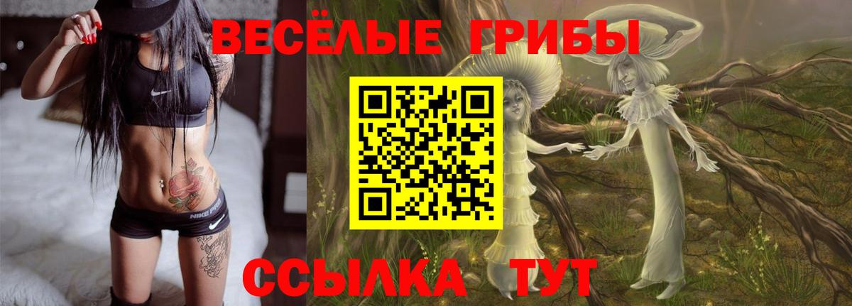 Псилоцибиновые грибы Psilocybe Котельники